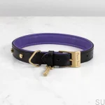 BusterPunch_Dog_Collar_Brass_Large_Front-scaled.webp