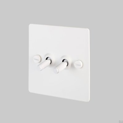 Dual Switch 2G Weiß [El433] Englischer Standard