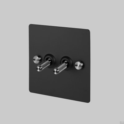 Dual Switch 2G Black/Steel [El421] English standard