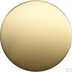 Zdjecie galki TS 1 zlotej