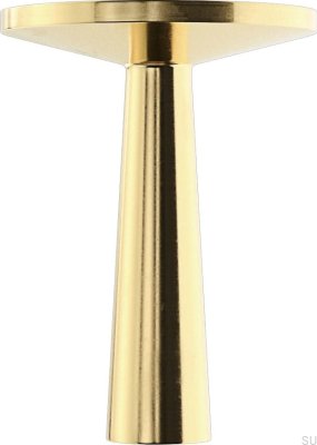 Gałka meblowa TS 1 Mosiężna szczotkowana (2 sztuki)