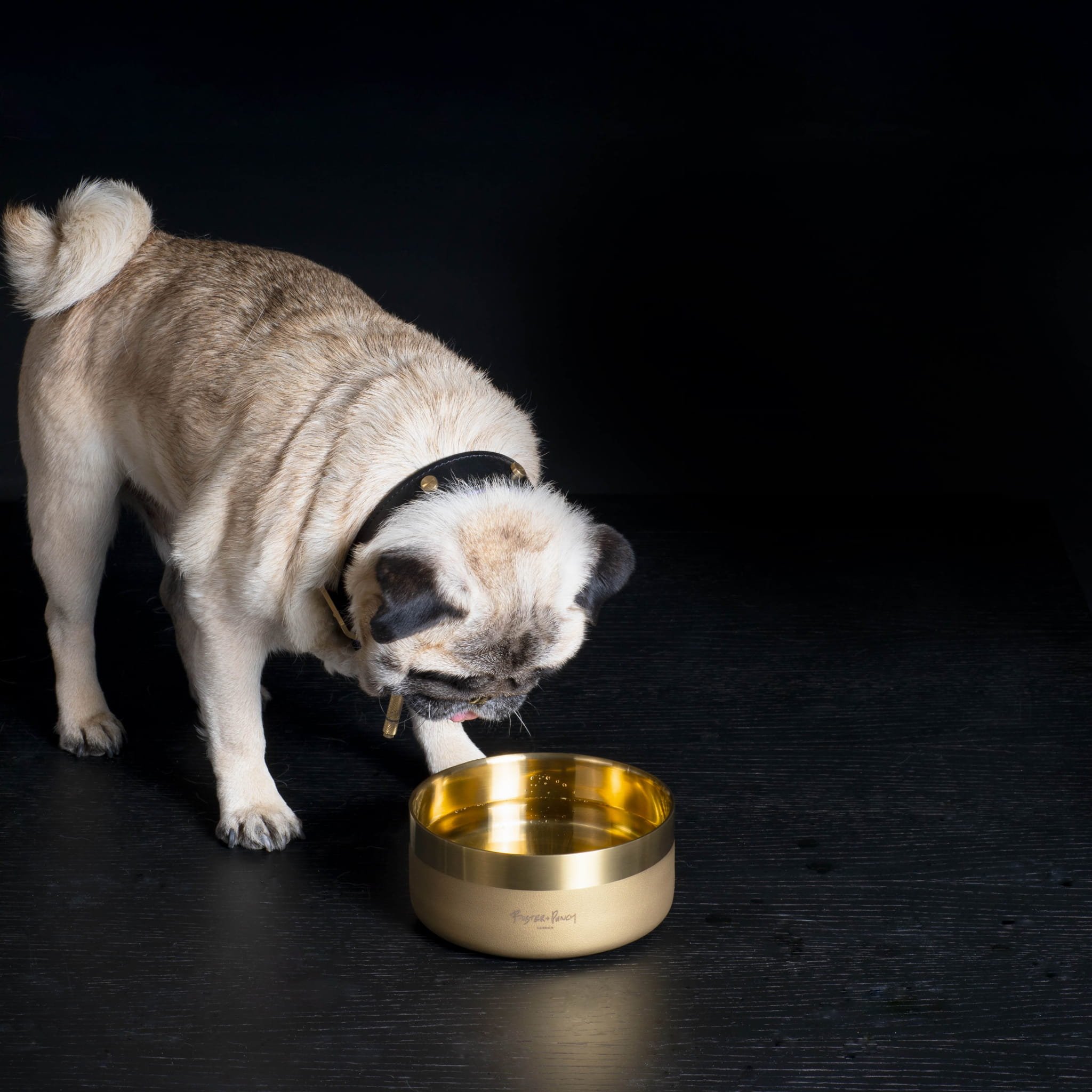 BP_Dog_Bowl_Lifestyle_Small_Brass_2_square.jpg