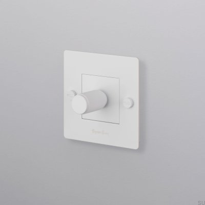 Ściemniacz z przełącznikiem chwilowym LED Cross 1G 250W Stalowy Biały Standard europejski