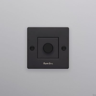 Ściemniacz z przełącznikiem chwilowym LED Cross 1G 250W Stalowy Czarny Standard europejski