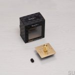 EU_Electricty_1G_dimmer_Brass_Unbox_Web-scaled (2).jpg