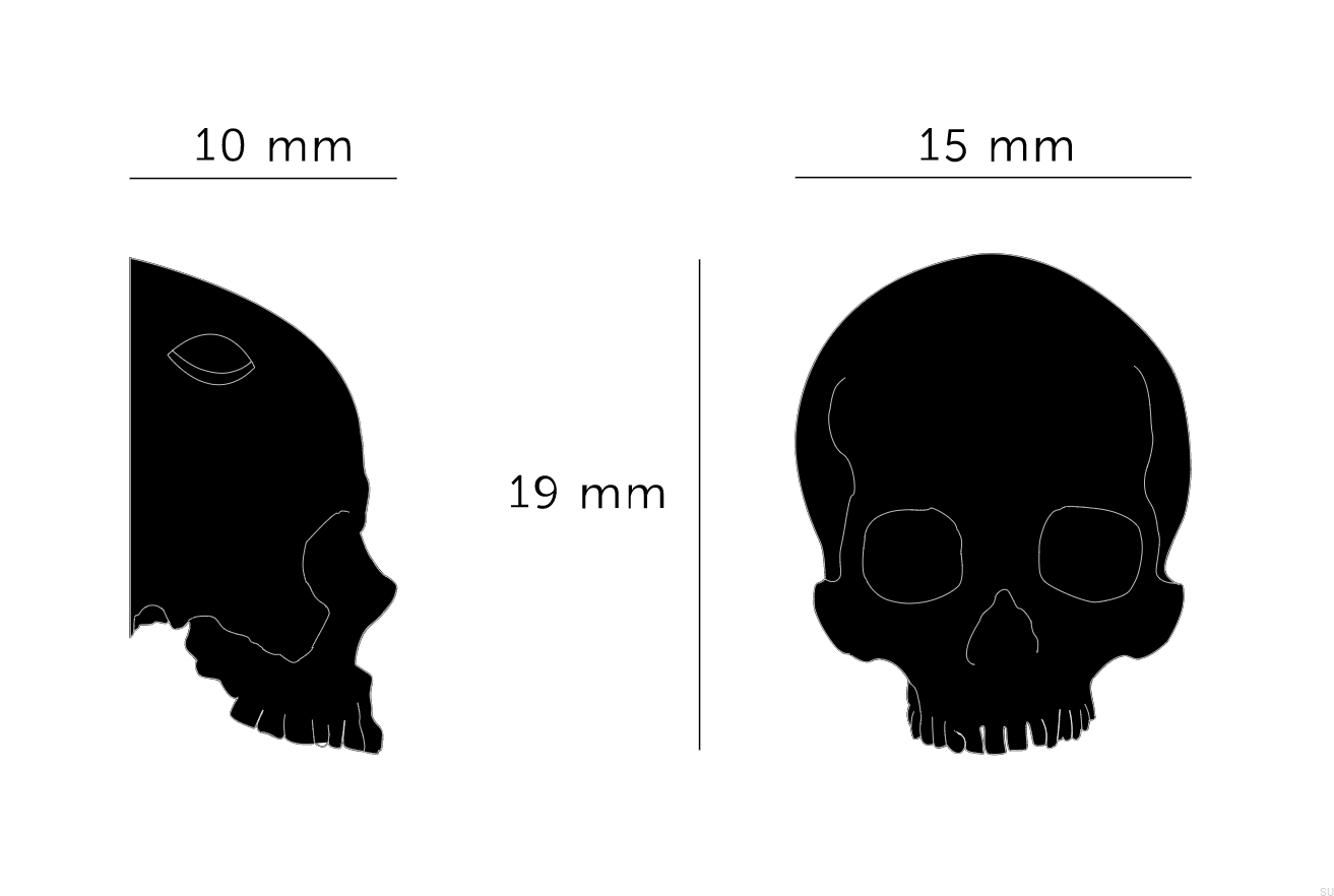 skull rys.png