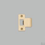 Strike_Plate_2_5_Inch_Brass_web-scaled.jpg