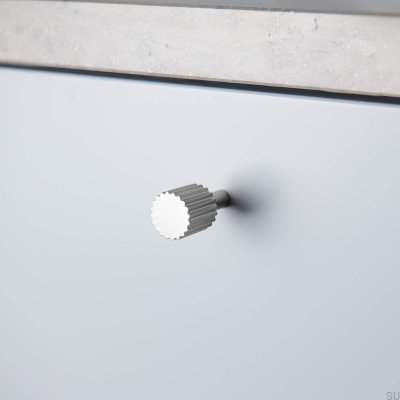 Gałka meblowa Smögen 20 Srebrna (2 sztuki)