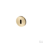 buster_punch_-_escutcheon_plate_brass_3_5.jpeg