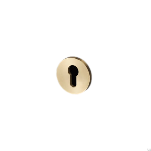 buster_punch-euro-escutcheon-plate-brass_2_2.jpg