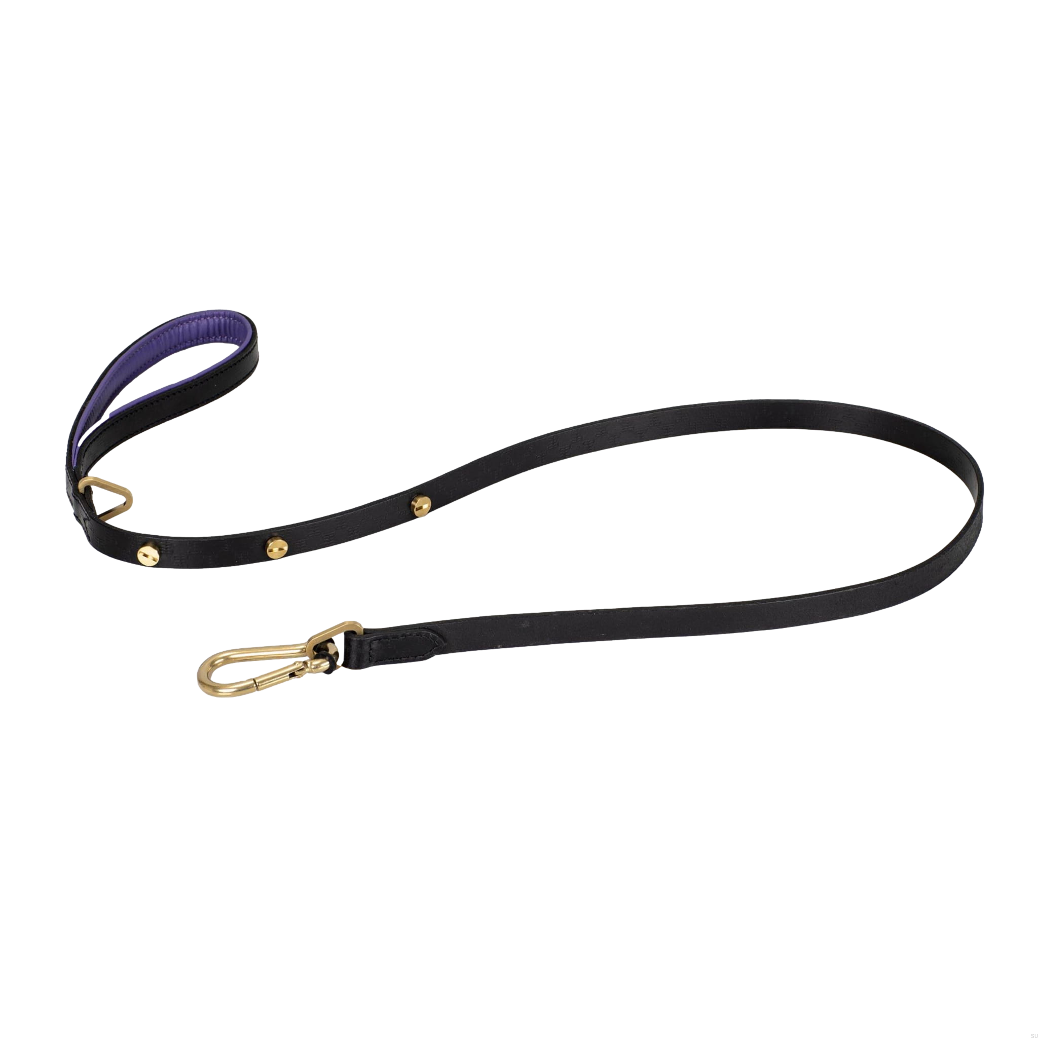 BusterPunch_Dog_Lead_Brass_Small.jpg