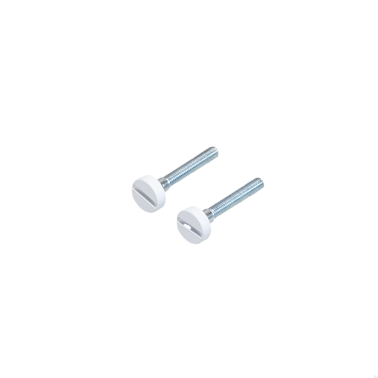 BP_Spare_48_Electricity-Coin-Cap-Screw-White.jpg