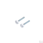 BP_Spare_48_Electricity-Coin-Cap-Screw-White.jpg