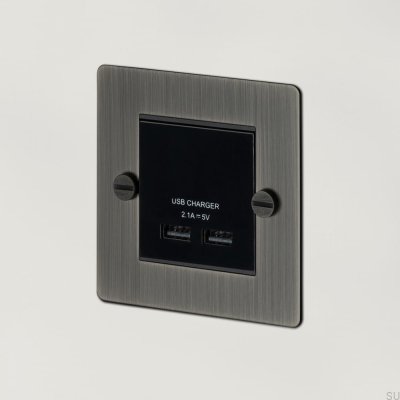 Moduł Gniazda podwójne USB do Euro Plate Biały Standard Brytyjski