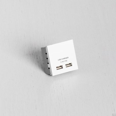 Moduł Gniazda podwójne USB do Euro Plate Biały Standard Brytyjski