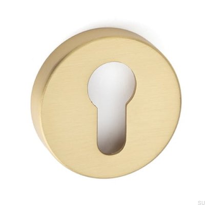 Szyld Helix 200 Złoty szczotkowany