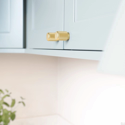 Gałka meblowa Riff 21 Złota Matowa