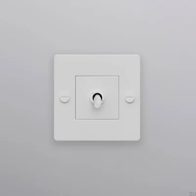 Włącznik pojedynczy bez logotypu Cross 1G Stalowy Biały Standard Europejski