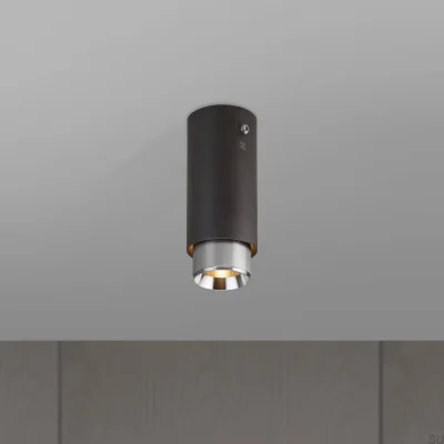 Lampa sufitowa punktowa Exhaust Linear Stalowa Grafitowa ze Srebrnym