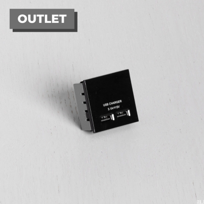 Moduł Gniazda podwójne USB do Euro Plate Czarny Standard Brytyjski