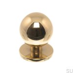 Zdjecie galki 1349 zlotej