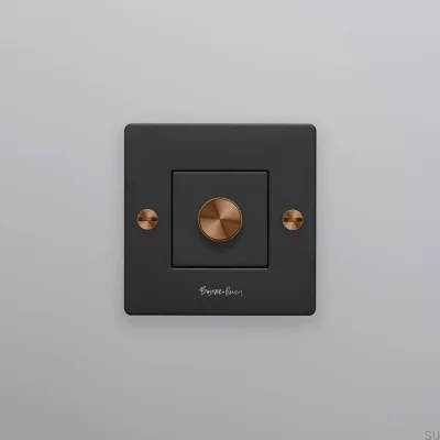 Ściemniacz z logotypem LED Cross 1G 250W Stalowy Czarny z Warm Sunset Standard Europejski