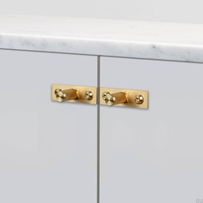 Gałka meblowa z podkładką Linear Plate 12 Mosiężna (zestaw 2 szt.)