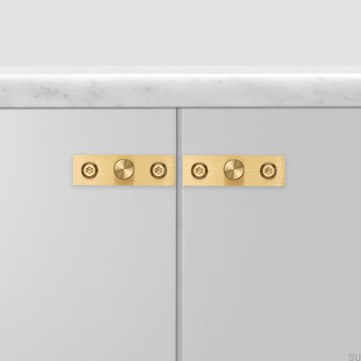 Gałka meblowa z podkładką Linear Plate 12 Mosiężna (zestaw 2 szt.)