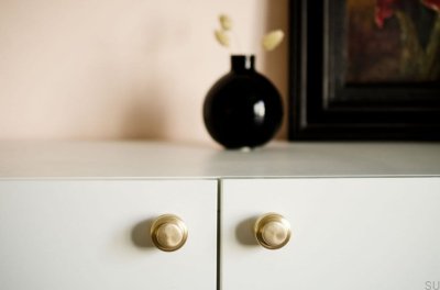 Gałka meblowa Wieszak ścienny Hip 30 Mosiężny Szczotkowany Nielakierowany